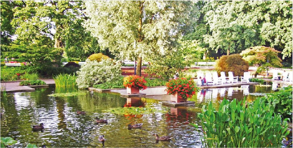 https://pbo-sikora.com.pl/wp-content/uploads/2020/09/Garten-Landschaftsbau-Wedel.jpg