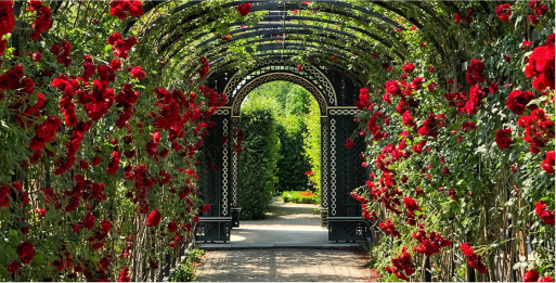 https://pbo-sikora.com.pl/wp-content/uploads/2021/06/Gartenpflege-Wedel.png